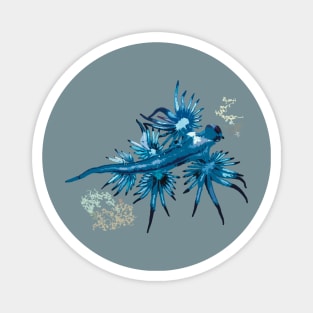 Blue Dragon,Glaucus Atlanticus Sea slug Magnet